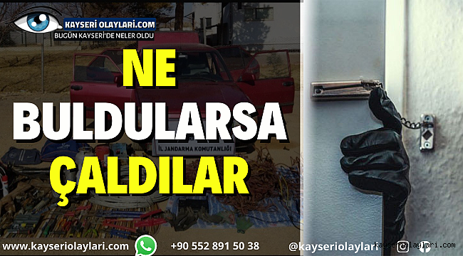 Ne Buldularsa Çaldılar 