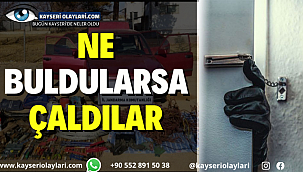 Ne Buldularsa Çaldılar 