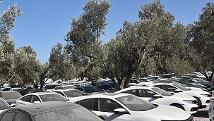 Son Dakika: Bayilerden aldıkları yeni araçları stoklayanlarla ilgili soruşturma