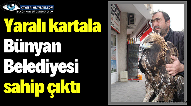 Yaralı kartala Bünyan Belediyesi sahip çıktı 