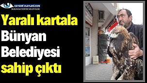 Yaralı kartala Bünyan Belediyesi sahip çıktı 