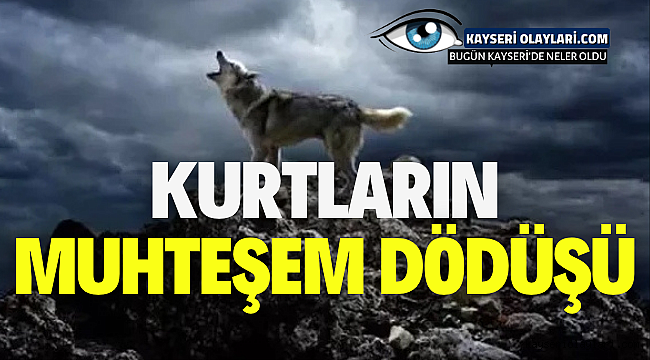 Yeni Kurtlar Vadisi'ne bomba transferler! 