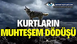 Yeni Kurtlar Vadisi'ne bomba transferler! 