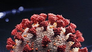 Covid varyantları bağışıklık sistemi zayıf olanlardan mı kaynaklanıyor?