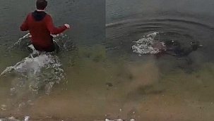 Görenler hayrete düştü! Buz gibi göle daldı