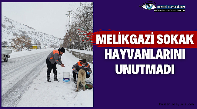 Melikgazi Sokak Hayvanlarını Unutmadı