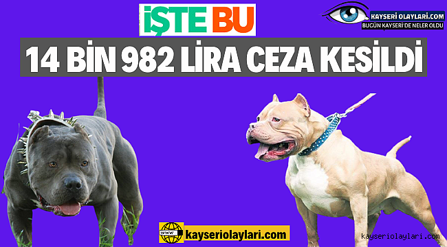 Okul Önünde Gezdiriyordu! Bakın Cezaya..