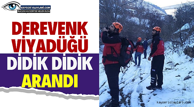 Derevenk Viyadüğü Didik Didik Arandı