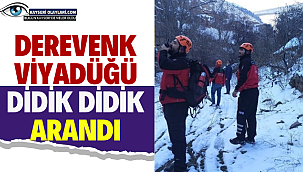 Derevenk Viyadüğü Didik Didik Arandı
