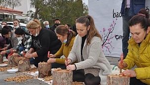 En fazla bademi kırmak için yarıştılar