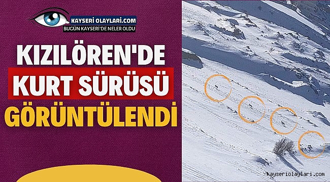 Kızılören'de Kurt Sürüsü Görüntülendi