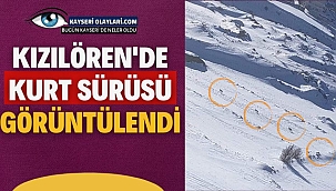 Kızılören'de Kurt Sürüsü Görüntülendi