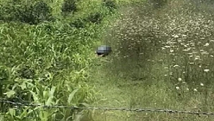 Köpeğe tecavüz davasında mide bulandıran ifadeler! 'Çığlık atıyordu'