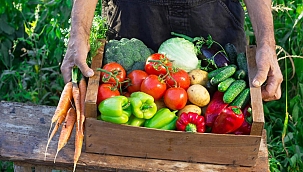Temel gıda ürünleri nelerdir? 2022 temel gıda ürünleri KDV oranı ne kadar?