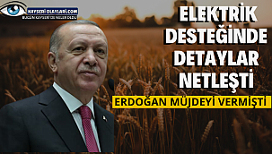 Çiftçiye elektrik desteğinde detaylar netleşti