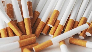 Hatay'da kaçak sigara operasyonu