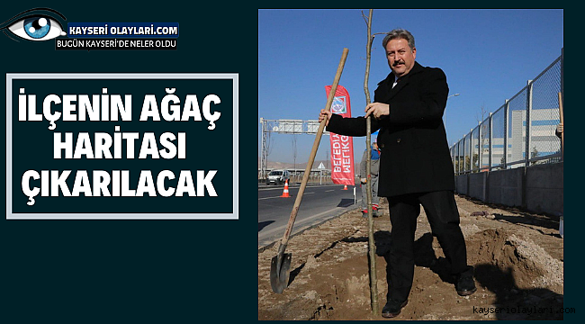 İlçenin Ağaç Haritası Çıkartılacak 