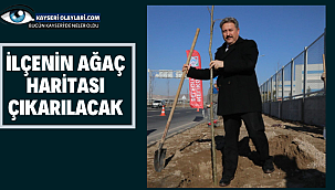 İlçenin Ağaç Haritası Çıkartılacak 