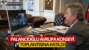 Palancıoğlu Avrupa Konseyi Toplantısına Katıldı