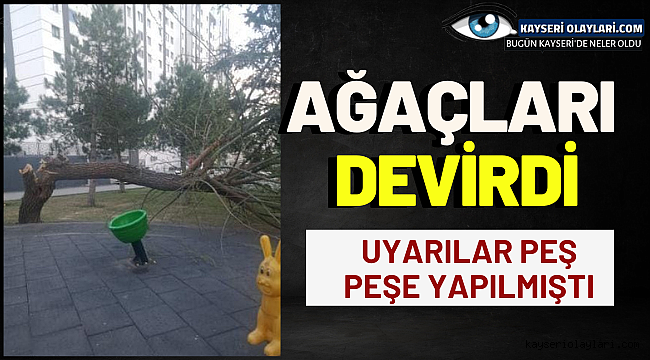 Ağaçları Devirdi! 