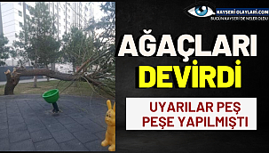 Ağaçları Devirdi! 
