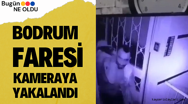 Bodrumdan hırsızlık yapan şahıs yakalandı