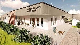 Kayseri'de belediye barınağındaki 826 köpek ile 783 kedi sahiplendirildi