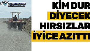 Kim Dur Diyecek! Hırsızlar iyice Azıttı