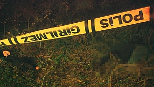 Mantar toplarken hayatlarının şokunu yaşadılar! 38 gün önce...