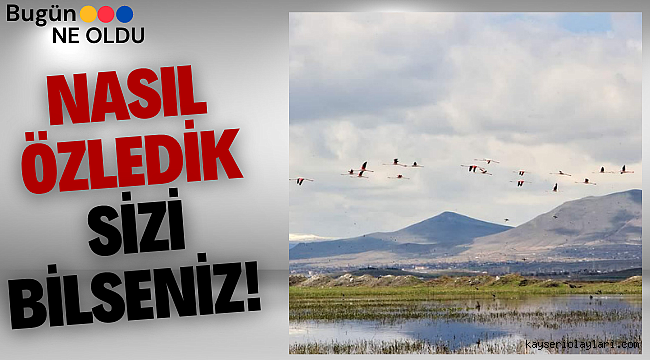 Nasıl Özledik Sizi Bilseniz