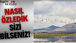 Nasıl Özledik Sizi Bilseniz