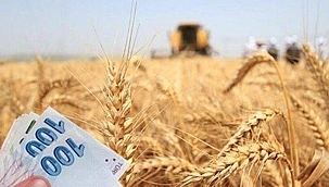 Tarımsal destekleme ödemeleri yattı mı? Çiftçilere tarımsal destekleme ödemeleri ne zaman yatacak?