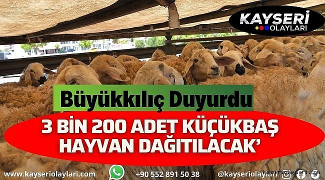 '3 bin 200 adet küçükbaş hayvan dağıtımı gerçekleşecek'