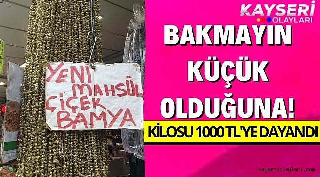 Bakmayın küçük olduğuna! Bamyanın kilosu 1000 tl'ye dayandı