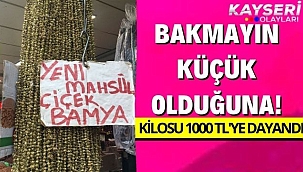 Bakmayın küçük olduğuna! Bamyanın kilosu 1000 tl'ye dayandı
