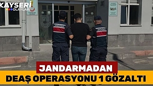 Jandarmadan DEAŞ operasyonu: 1 gözaltı