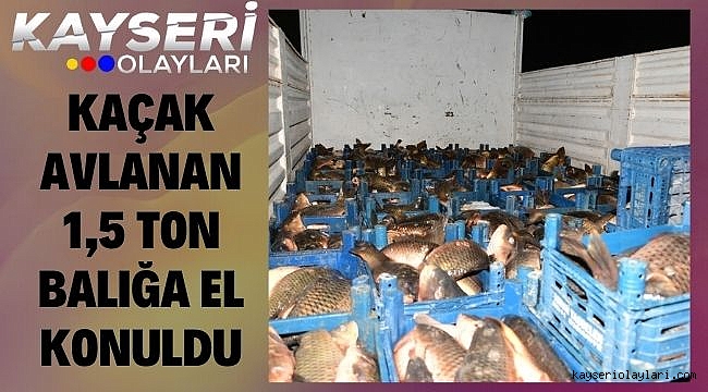 Kaçak avlanan 1,5 ton balığa el konuldu