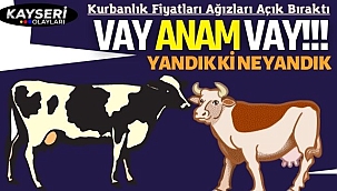 Kurbanlık Fiyatları Ağızları Açık Bıraktı 