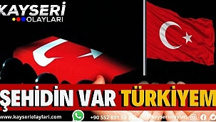 Şehidin Var Türkiyem
