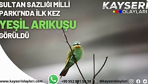 Sultan Sazlığı Milli Parkı'nda ilk kez Yeşil Arıkuşu görüldü