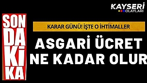 Asgari ücret ne kadar olur? Asgari ücret ara zamda karar günü