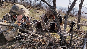  Barış Pınarı bölgesinde 3 PKK/YPG'li terörist etkisiz hale getirildi