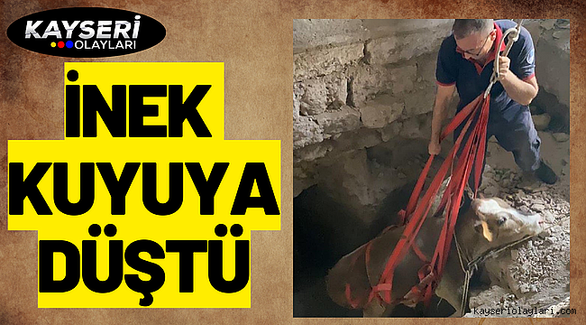 İnek kuyuya düştü İtfaiye ekipleri zorlu mücadele ile kurtardı