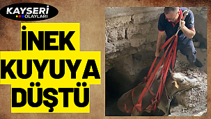İnek kuyuya düştü İtfaiye ekipleri zorlu mücadele ile kurtardı