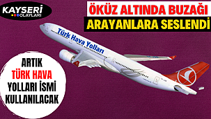 Öküz Altında Buzağı Arayanlara Seslendi Artık 'Türk Hava Yolları' İsmi Kullanılacak
