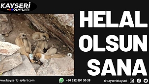 Ölüme terk edilen 15 köpek yavrusunu sahiplendi