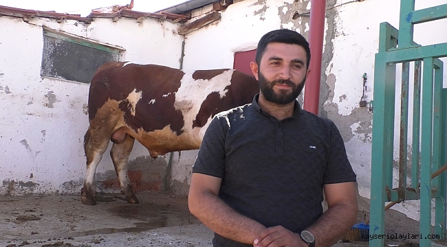 Yaklaşık 1 tonluk 'Paşa', alıcısını bekliyor