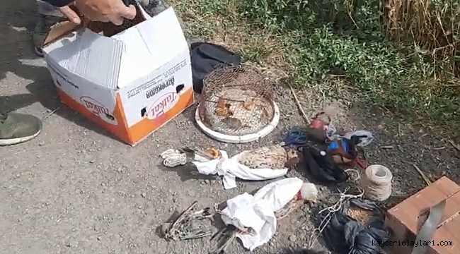 Yasa dışı şahin avı pahalıya mal oldu