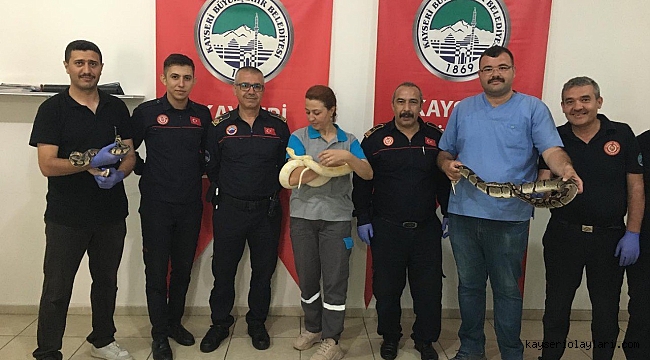 Yılanlı Eğitim Boynuna Doladı, Yapılacakları Anlattı