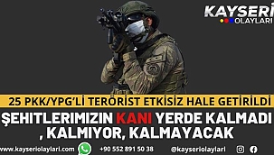 25 Pkk/Ypg'li Terörist Etkisiz Hale Getirildi